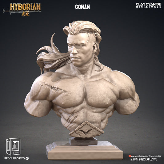 Conan Bust