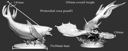 Primordial Orca