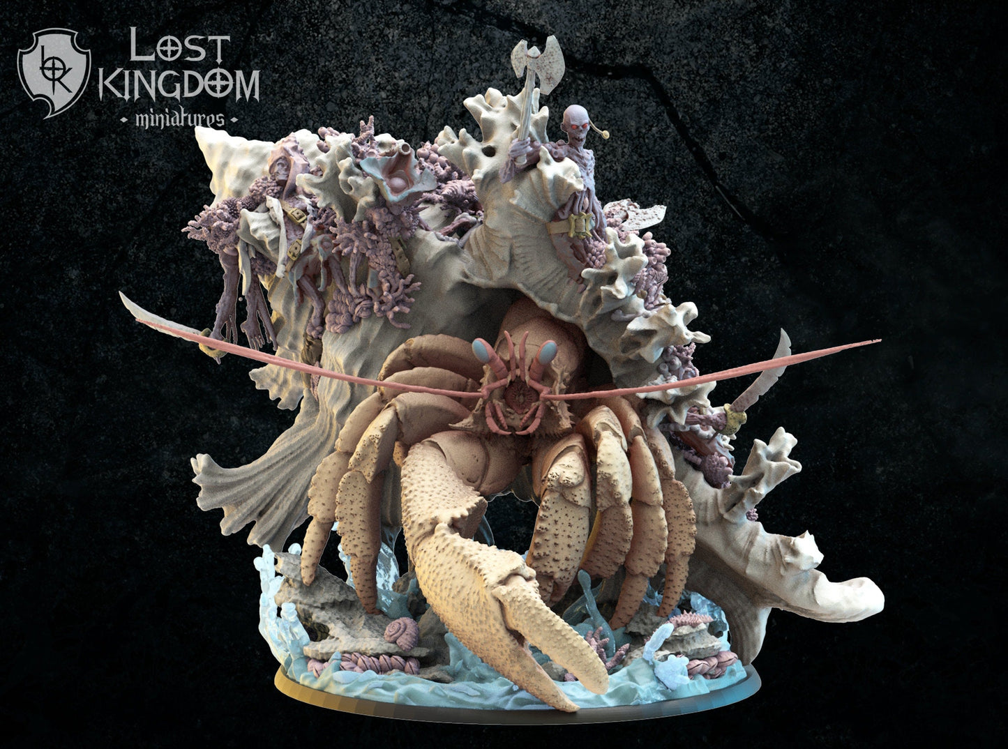 Corpse Hermit Crab