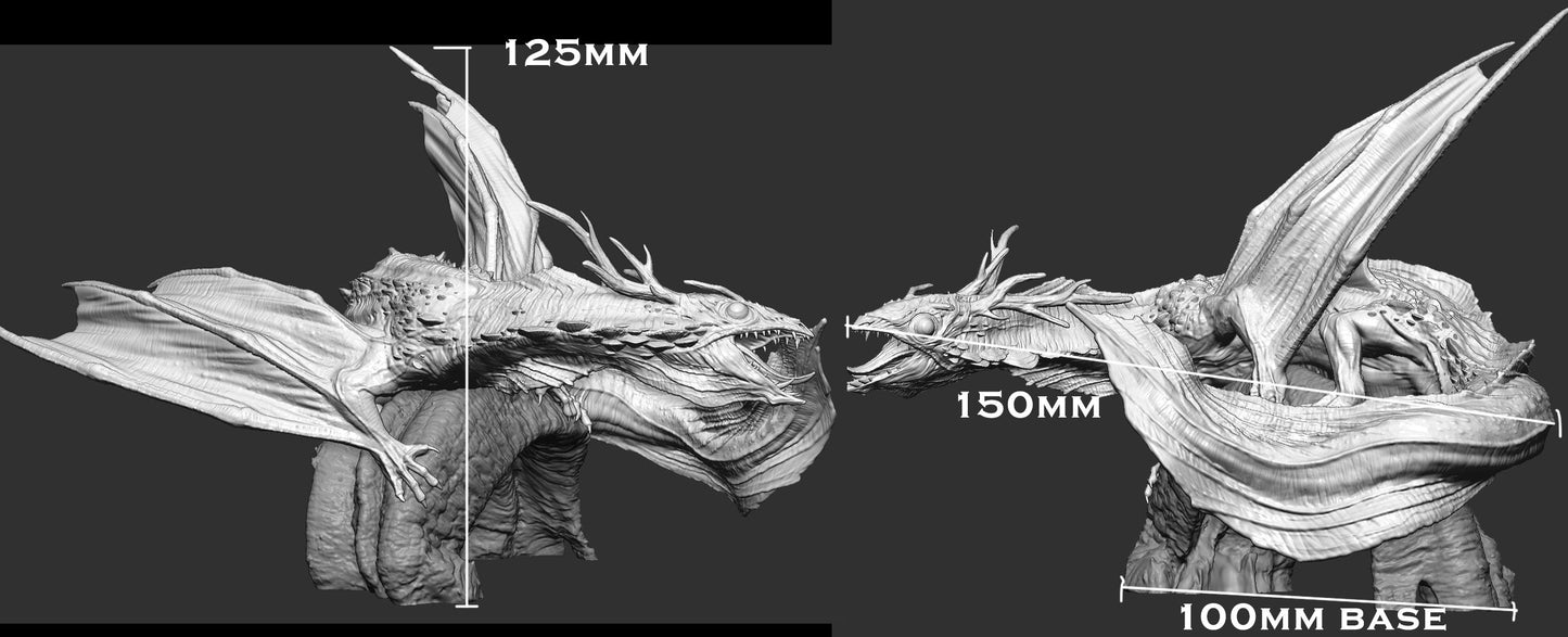 Veiled Fungal Dragon